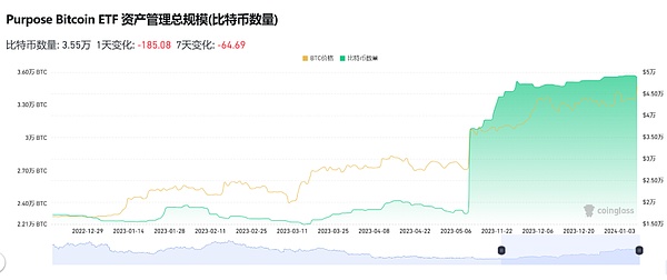 市场周报：黄金与比特币齐飞，投资者如何把握这波行情？